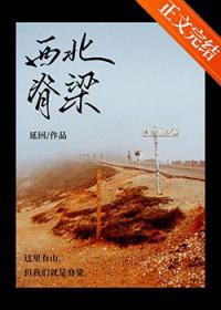 西北脊梁免费阅读