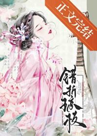 错折琼枝笔趣阁