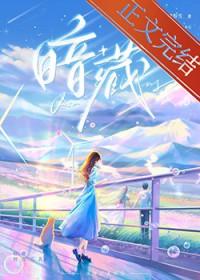 暗藏的意思
