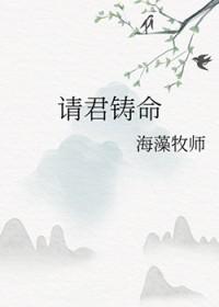 请君铸命免费阅读