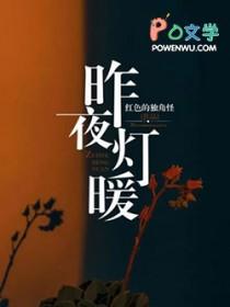 昨夜灯暖大结局是什么