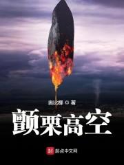 颤栗高空大结局