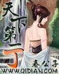 天下第一丁林晚荣全文免费阅读