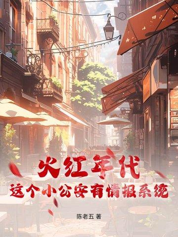 这个小公安有情报系统全集