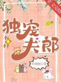 独宠夫郎番外笔趣阁
