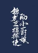 锦衣卫指挥使的小厨娘是谁