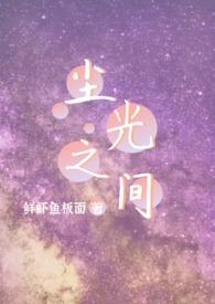 尘光之间
