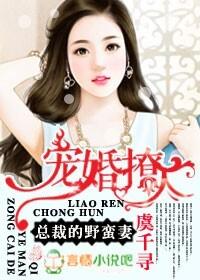 总裁的野蛮妻4