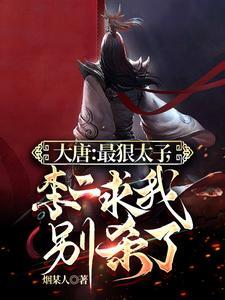 大唐开局成为李承乾