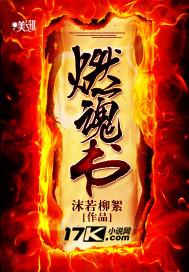 燃魂书 沫若柳絮