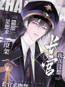 长官我真没想撩架