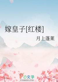 重生红楼皇子