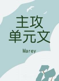 主攻单元文推荐