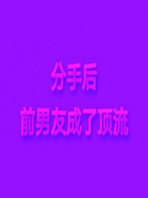 我偷偷去看他演唱会