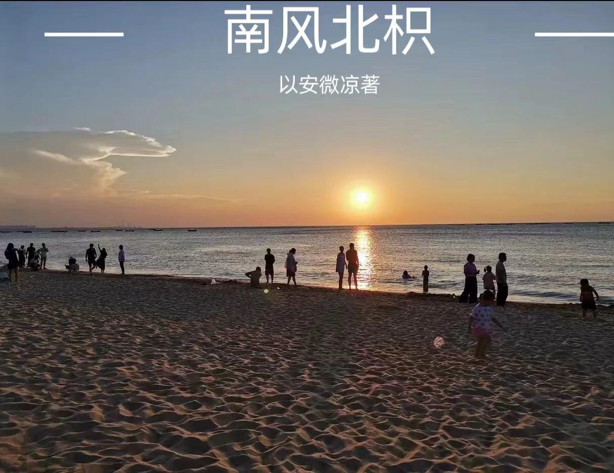 北风南枝