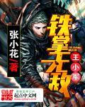 铁掌无敌王小军大结局
