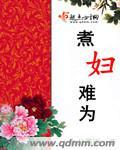 煮妇难为txt