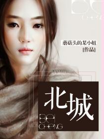 北城有星光无删减完整版