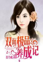 双面x免费阅读