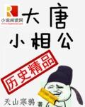 大唐小相公在线听书