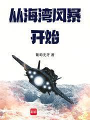 从海湾风暴开始起点中文网
