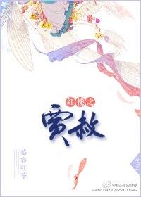 红楼之主角贾赦