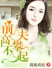 前夫高攀不起免费全集在线观看
