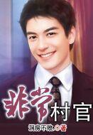非常村官txt八零电子全集