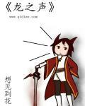 龙之声有源音箱